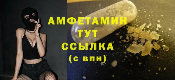 прущий лед Богданович