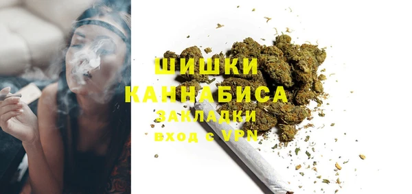ГАЛЛЮЦИНОГЕННЫЕ ГРИБЫ Бородино