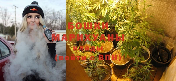 прущий лед Богданович
