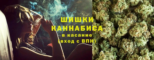 ГАЛЛЮЦИНОГЕННЫЕ ГРИБЫ Бородино