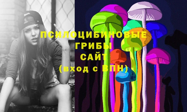 дживик Белокуриха