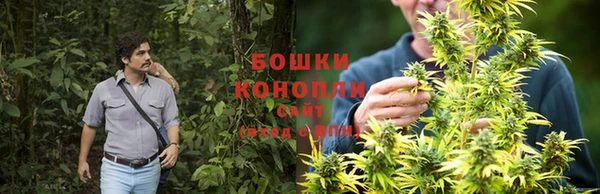 марихуана Белоозёрский