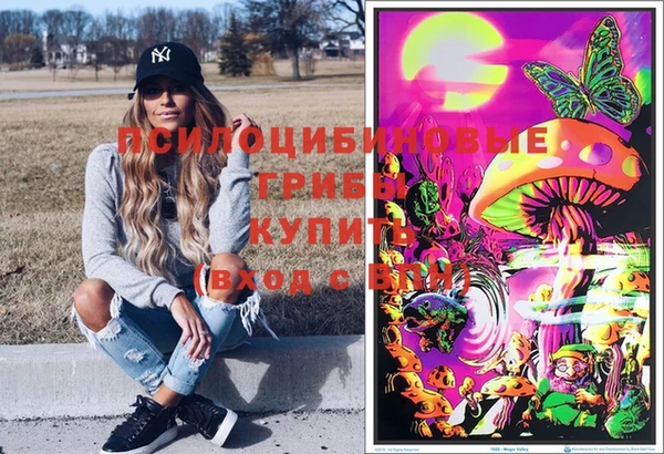 ГАЛЛЮЦИНОГЕННЫЕ ГРИБЫ Бородино