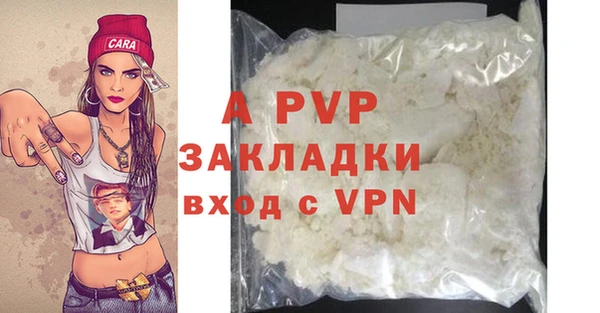 дживик Белокуриха