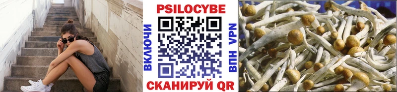 Псилоцибиновые грибы ЛСД  цена   mega ССЫЛКА  Балей 